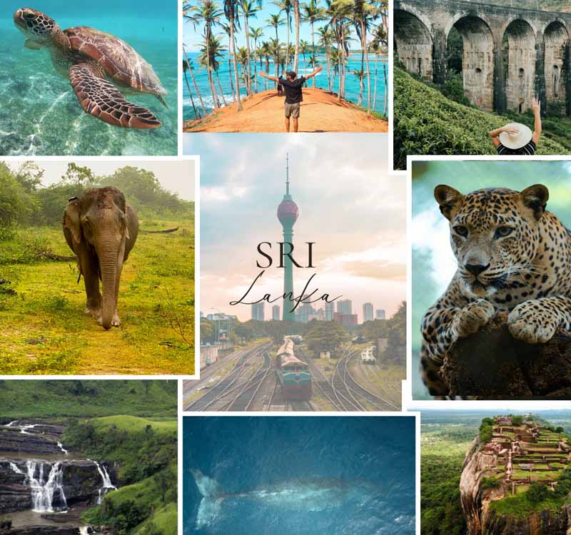 Travel Agency Mirissa